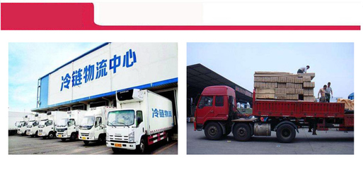 深圳冷鏈運輸與物流配送服務指南