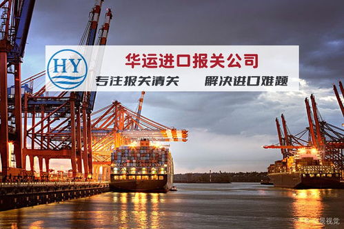 專業門到門 上海海運榴蓮進口清關與全程運輸代理全攻略